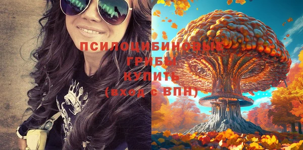 винт Мегион